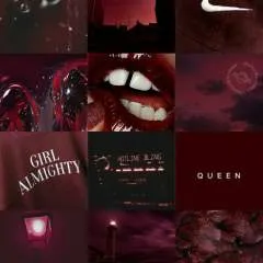 Bruno photo on Jungo Live