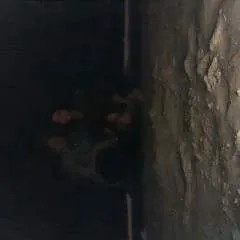 Zorrote photo on Jungo Live