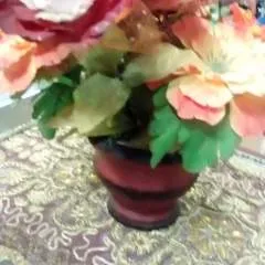 Pleaseenteryournicame photo on Jungo Live