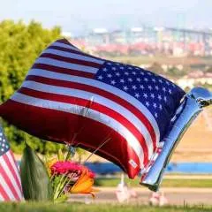 Blackmore photo on Jungo Live