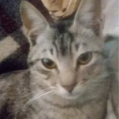 Jp photo on Jungo Live