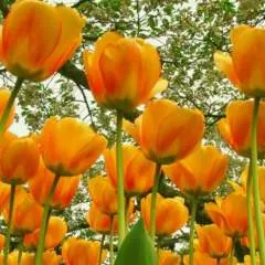 امید photo on Jungo Live