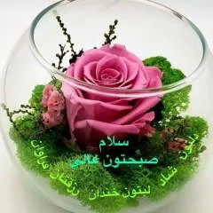 امید photo on Jungo Live