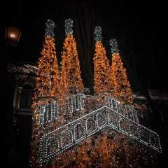 Samir photo on Jungo Live