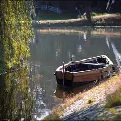 Mrarjen photo on Jungo Live