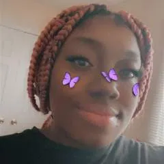 Kitten photo on Jungo Live