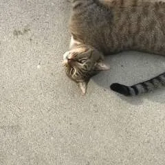 Anthony photo on Jungo Live