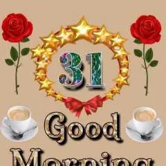 Javid photo on Jungo Live