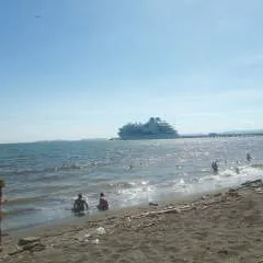 Fernando photo on Jungo Live