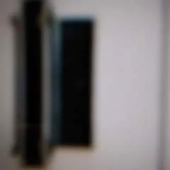 Shahee photo on Jungo Live