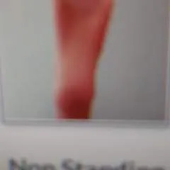 Shahee photo on Jungo Live