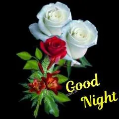 Vicky photo on Jungo Live