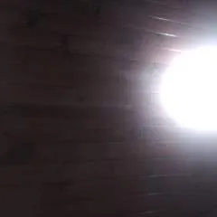 Califa photo on Jungo Live