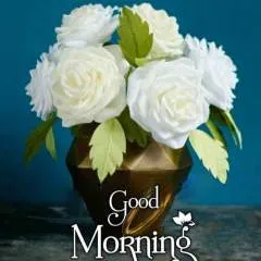 Jayesh photo on Jungo Live