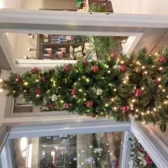 Ali photo on Jungo Live