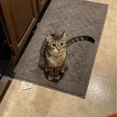 Millie photo on Jungo Live