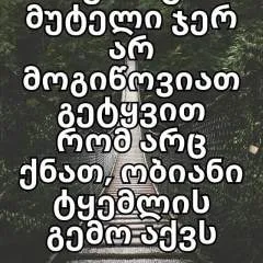 Geolion photo on Jungo Live