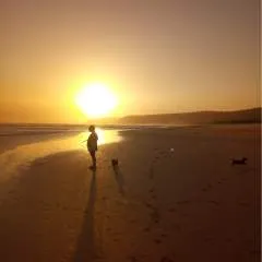 Bolandboertjie photo on Jungo Live