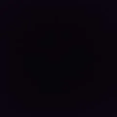 Ernő photo on Jungo Live