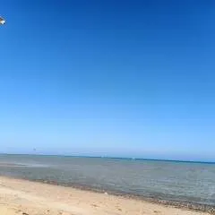 Jd photo on Jungo Live