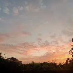 Jd photo on Jungo Live