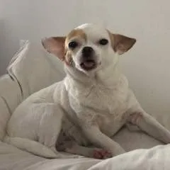 Stevenca32 photo on Jungo Live