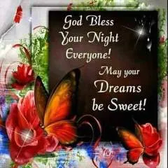 Danie40 photo on Jungo Live