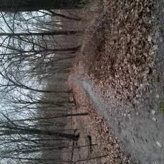 Up4fun photo on Jungo Live