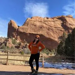 Ptree photo on Jungo Live