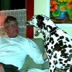 Gibraltarme photo on Jungo Live