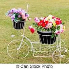 Patricia26 photo on Jungo Live