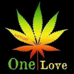 Garrett Cole Fealko photo on Jungo Live