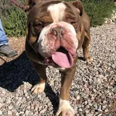 Garrett Cole Fealko photo on Jungo Live