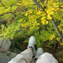 Korsak photo on Jungo Live