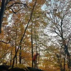 Korsak photo on Jungo Live