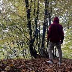 Korsak photo on Jungo Live