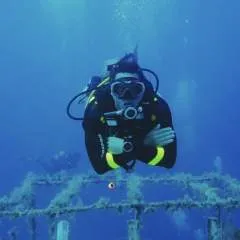 Extremedavid photo on Jungo Live