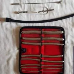 Braveheart photo on Jungo Live