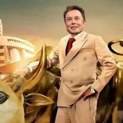 Dhruv photo on Jungo Live