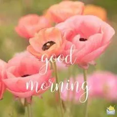 Uk photo on Jungo Live