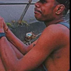 Phillips​ photo on Jungo Live