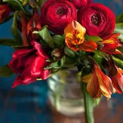 Rajkumar photo on Jungo Live