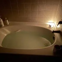 Merganser photo on Jungo Live