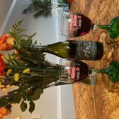 Merganser photo on Jungo Live