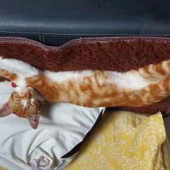 Pipoy&inday photo on Jungo Live