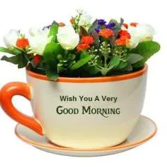 Sexy Boy photo on Jungo Live