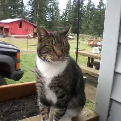 Sexydandr photo on Jungo Live