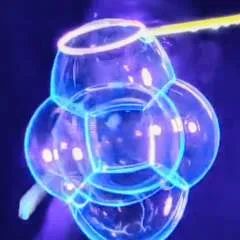 Fish.ram.lion photo on Jungo Live