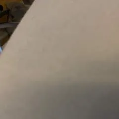 Benji photo on Jungo Live