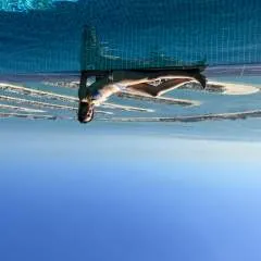 Olivia photo on Jungo Live